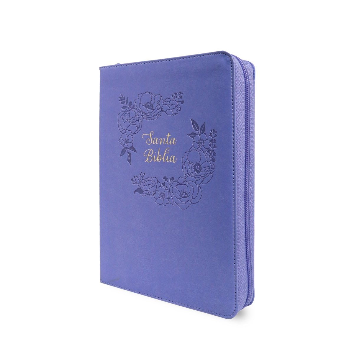 BIBLIA REINA VALERA 1960 TAMAÑO MANUAL LETRA GRANDE EDICIÓN LIMITADA (2TONOS)