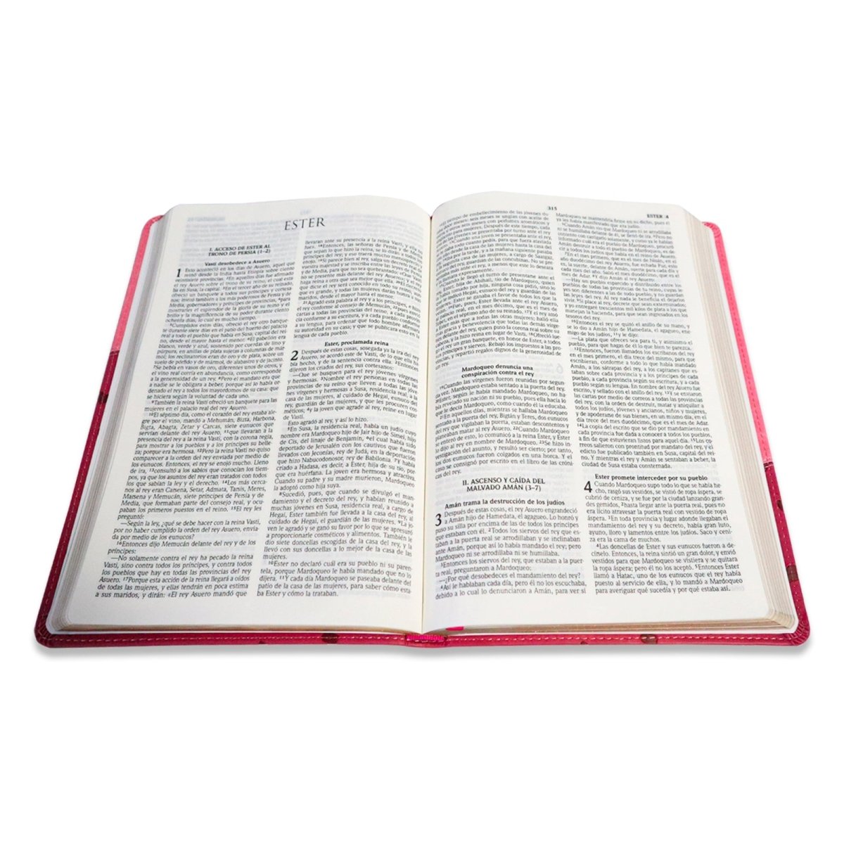 BIBLIA REINA VALERA 2020 ULTRAFINA COLORES