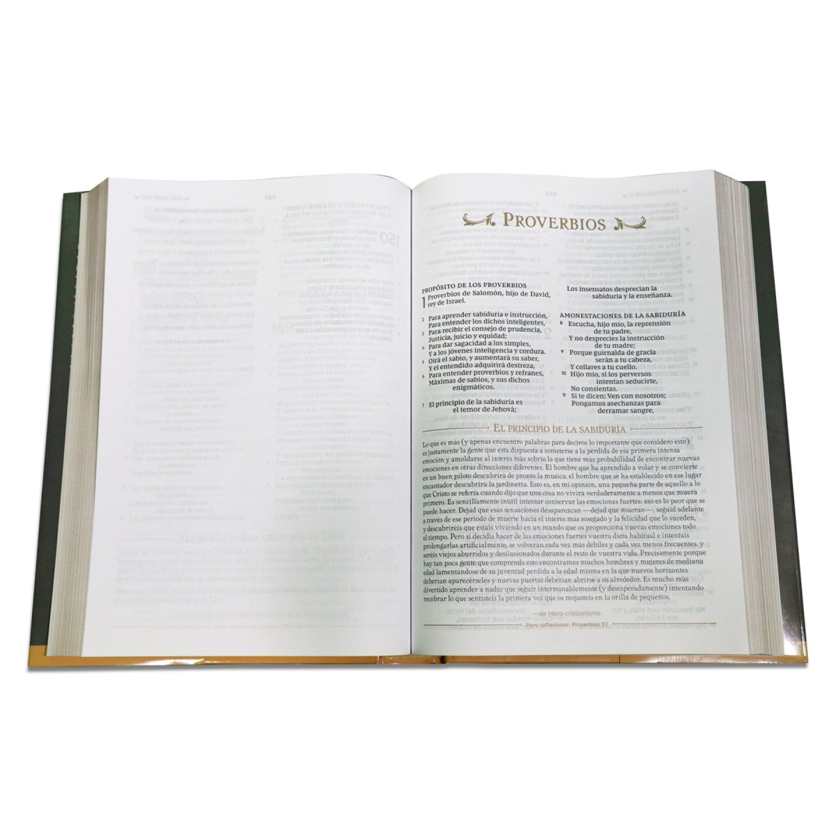 BIBLIA REINA VALERA REFLEXIONES DE C.S LEWIS TAPA DURA