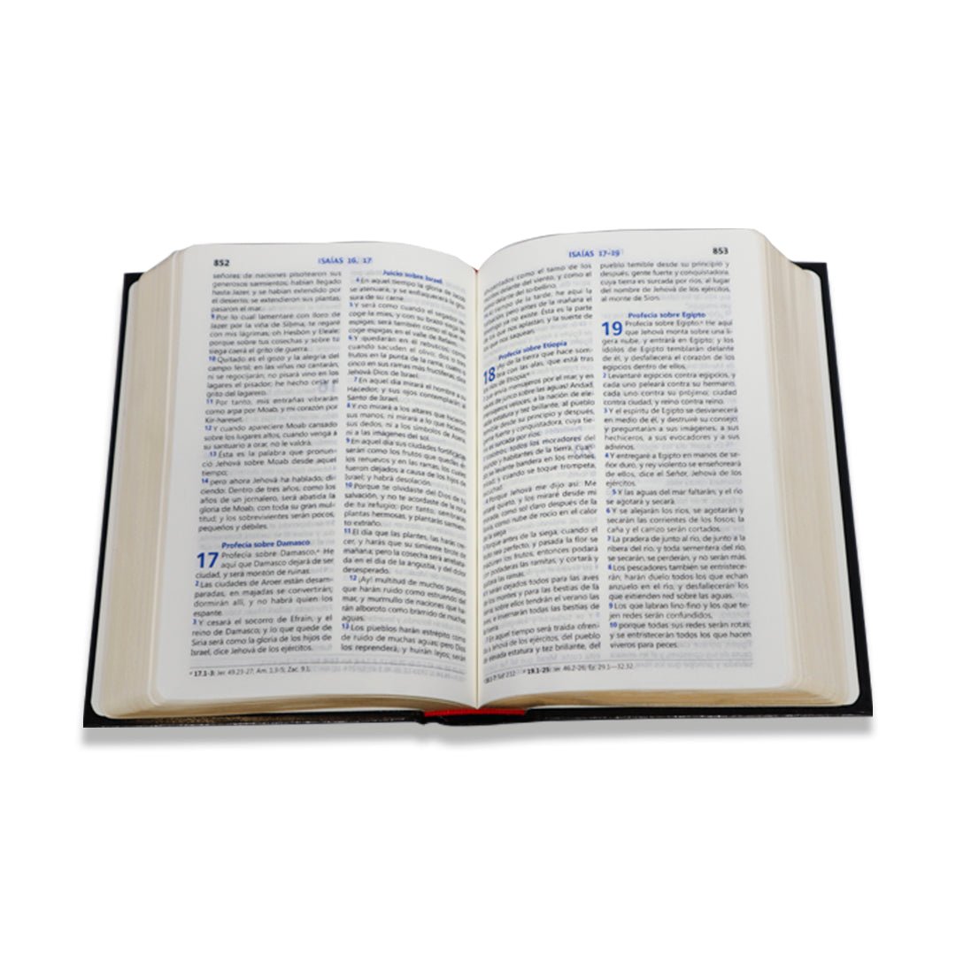 BIBLIA RV1960 LETRA GRANDE PALABRA DE JESUS EN ROJO C/ REFERENCIAS TAPA DURA