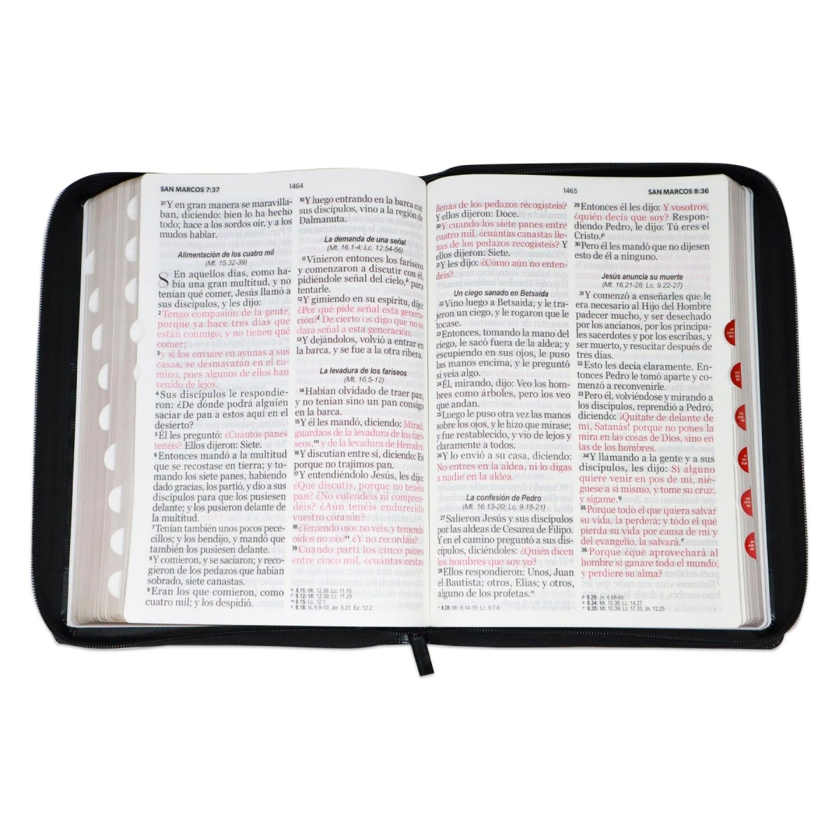 BIBLIA RVR 1960 SUPERGIGANTE CLASSIC IMIT PIEL CIERRE/INDICE