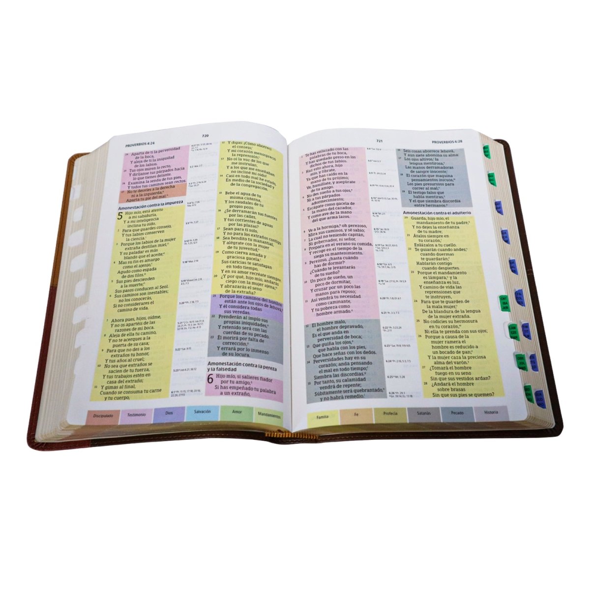 BIBLIA RVR1960 DE ESTUDIO ARCOIRIS SIMIL PIEL TERRACOTA C/ INDICE