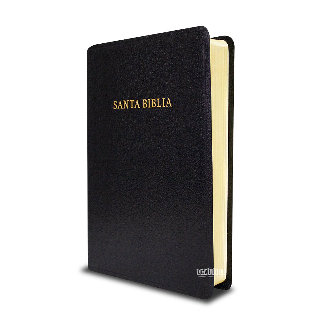 Biblia RVR60 Tamaño manual letra grande imitación piel