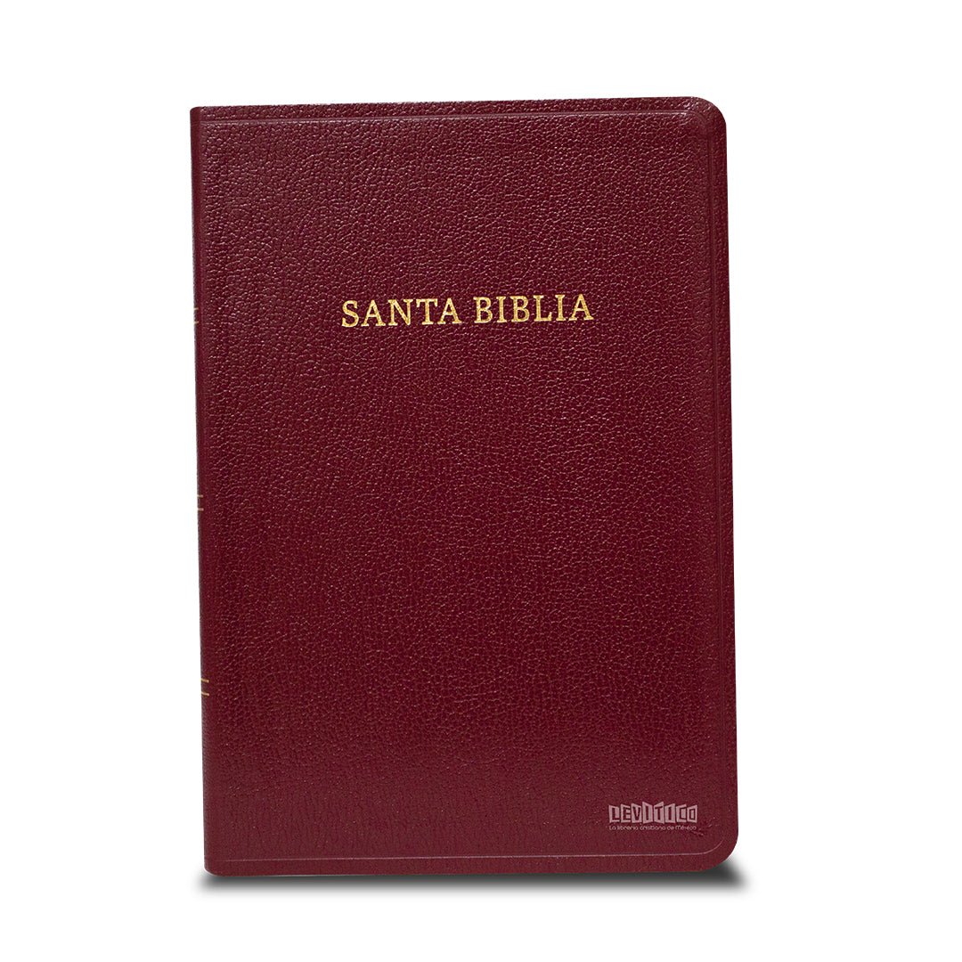 Biblia RVR60 Tamaño manual letra grande imitación piel