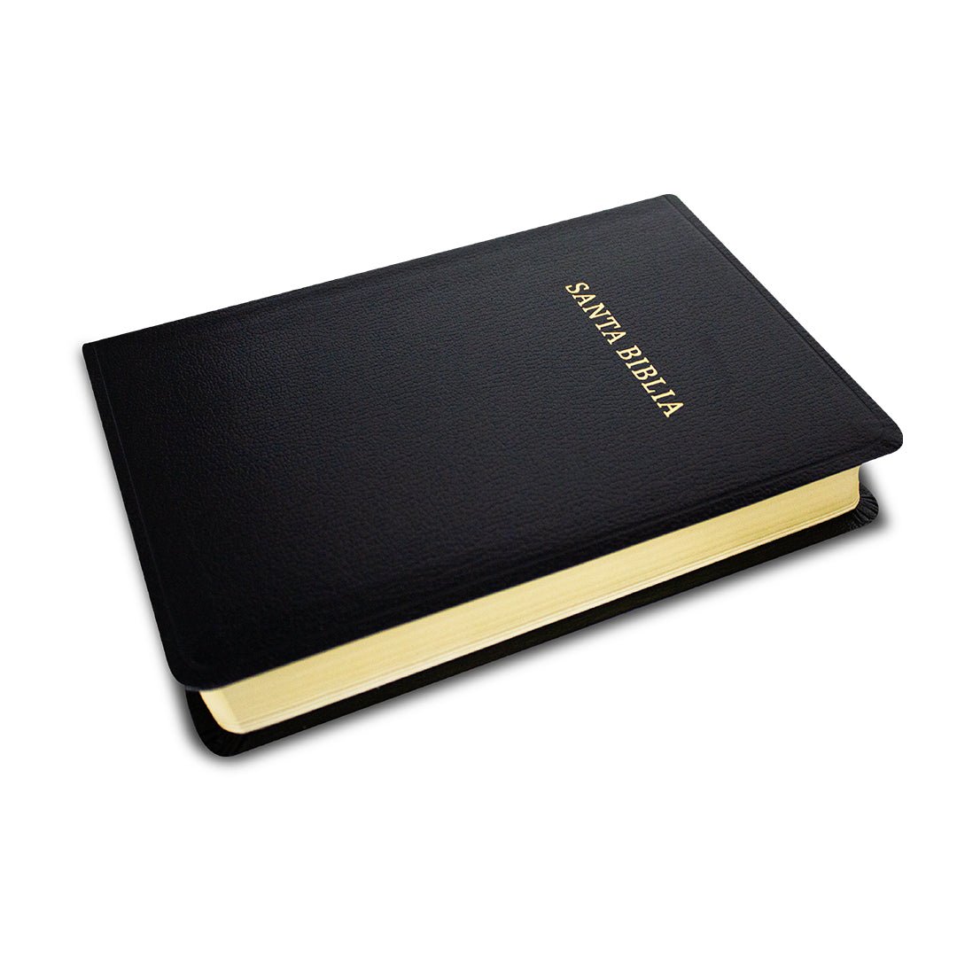 Biblia RVR60 Tamaño manual letra grande imitación piel