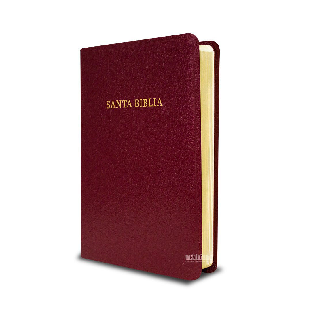 Biblia RVR60 Tamaño manual letra grande imitación piel