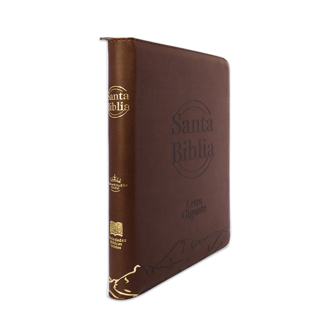 SANTA BIBLIA RVR 1960 LETRA GIGANTE CAFE C/CIERRE C/INDICE