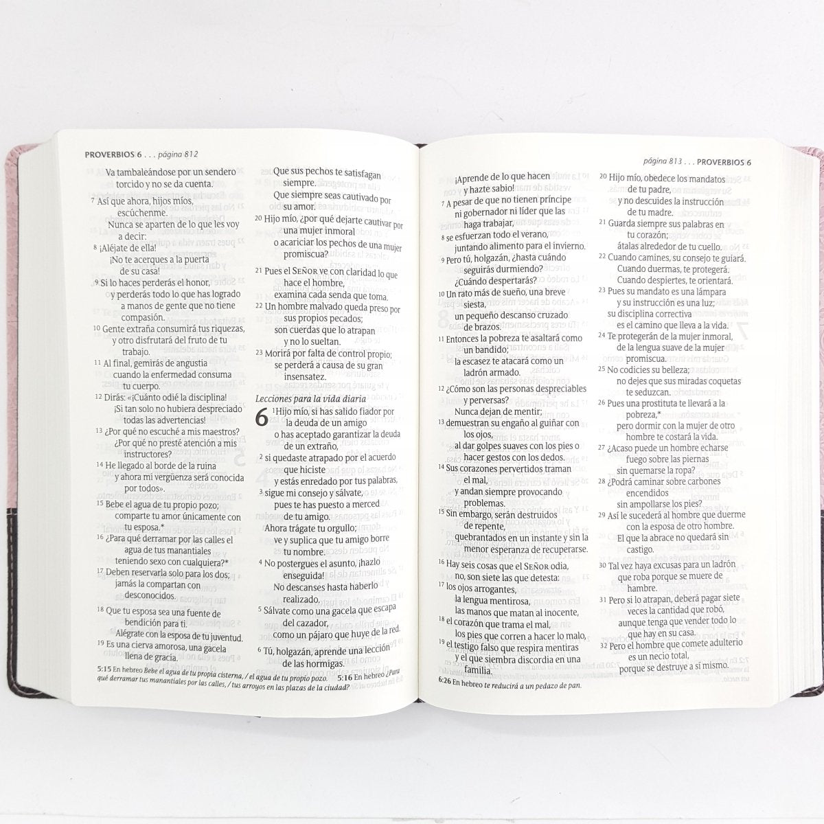 Santa Biblia NTV Edición personal sentipiel Rosa/Café con Indice