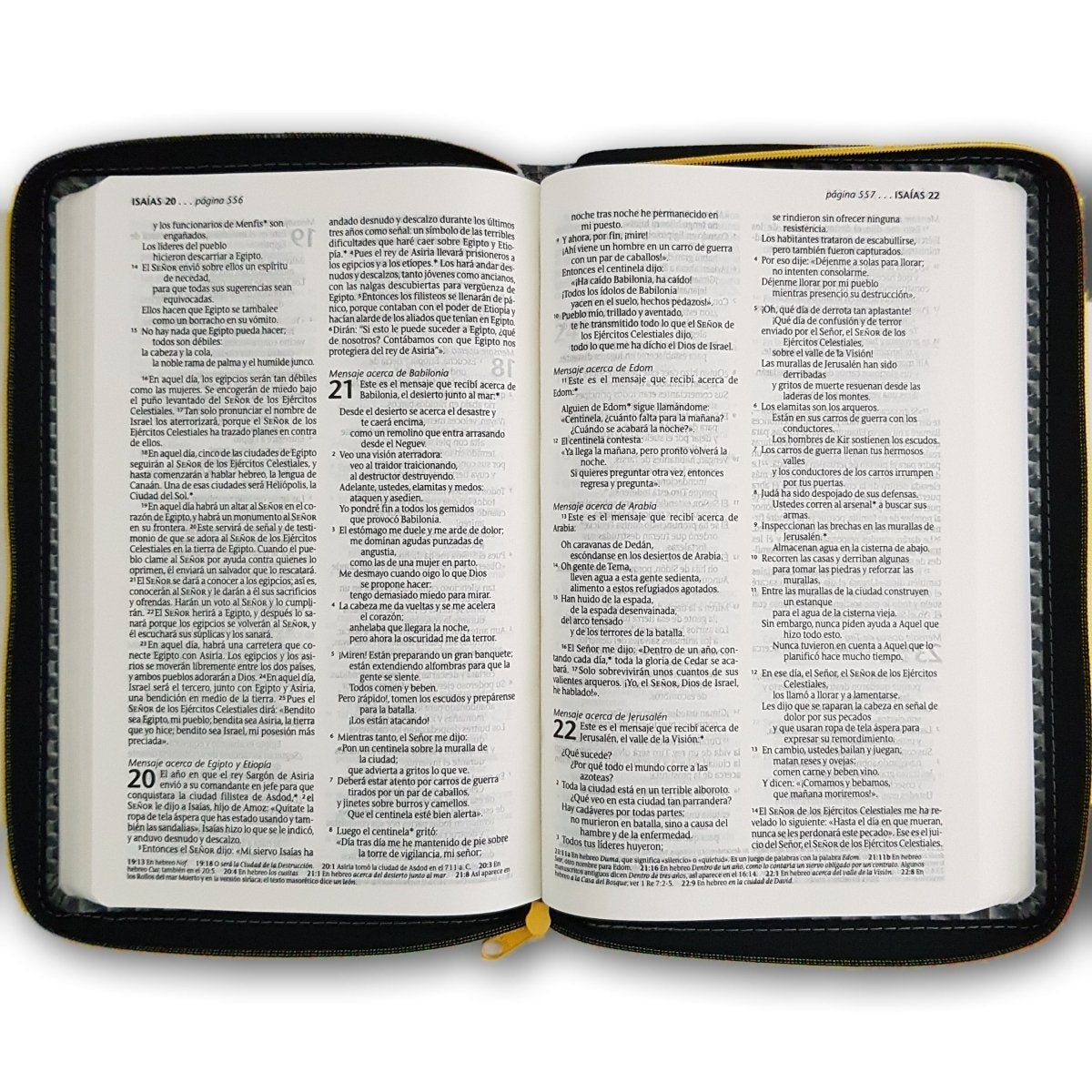 Santa Biblia NTV Edición zíper sentipiel Gris