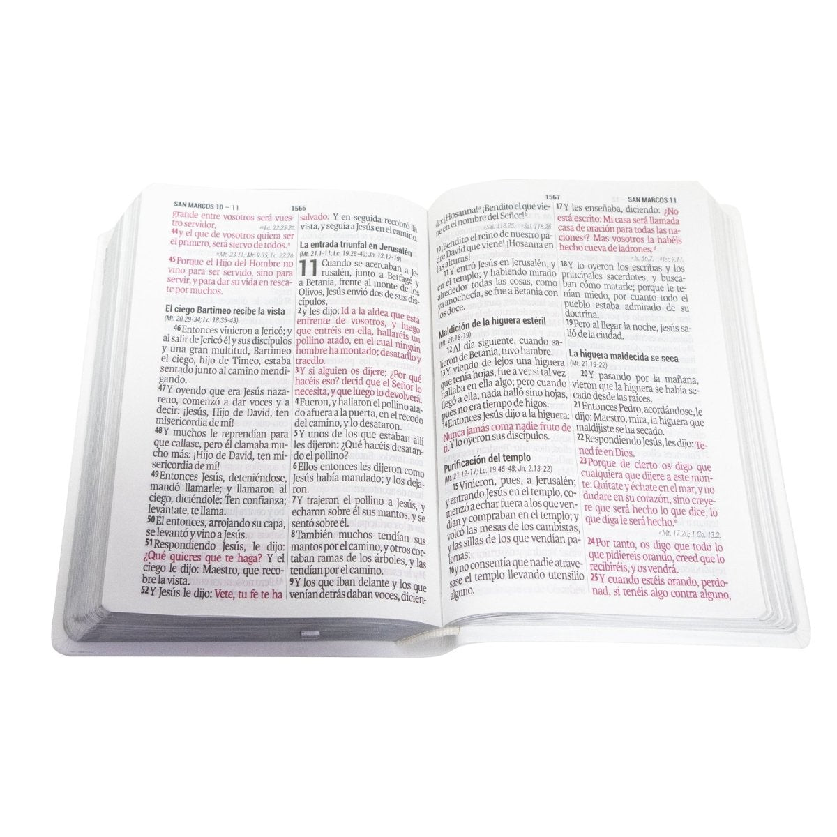SANTA BIBLIA REINA VALERA 1960 LETRA GRANDE BODA