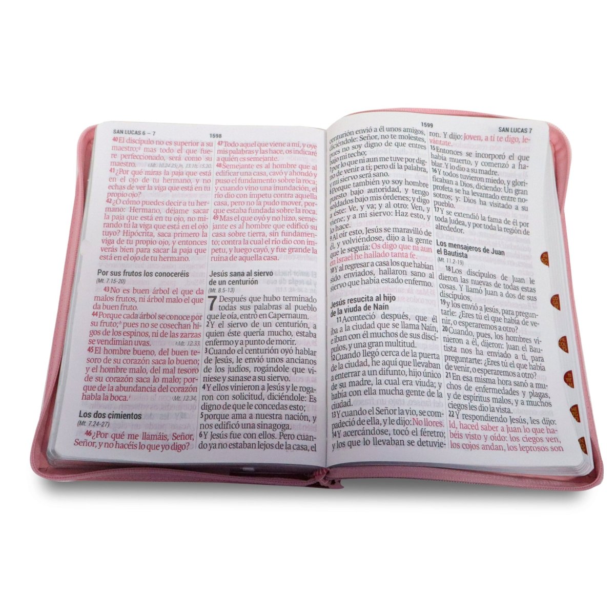 SANTA BIBLIA REINA VALERA 1960 SUPERGIGANTE 19 PT/DUOTONO INDICE