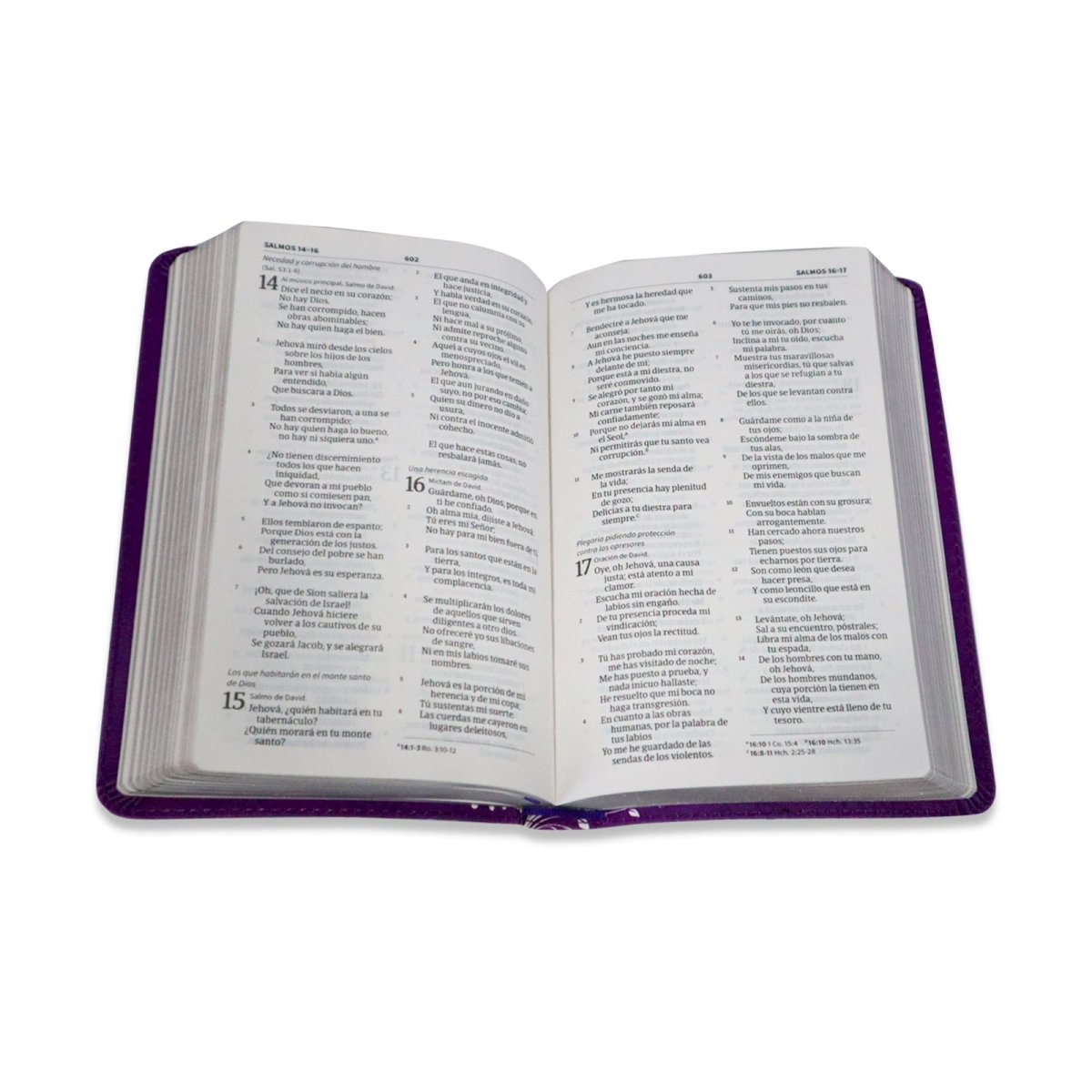 Santa Biblia RV 1960 Mis XV Amatista con mariposas