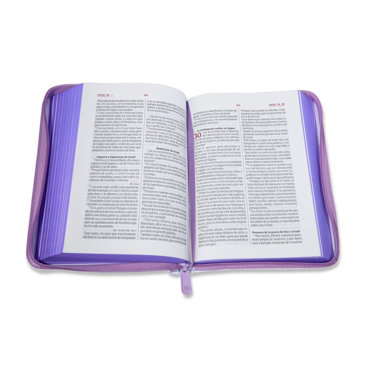 SANTA BIBLIA RV1960 BLANCO MARIPOSAS