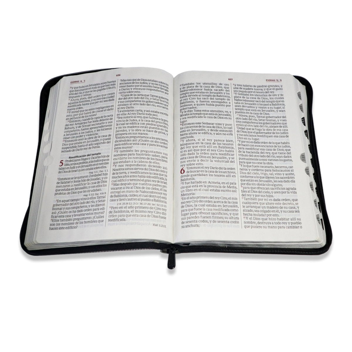 SANTA BIBLIA RV1960 LETRA GIGANTE GRIS/NEGRO
