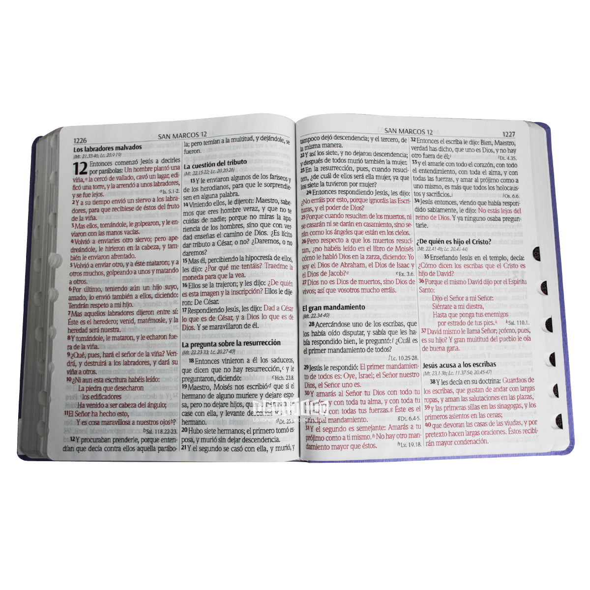 Santa Biblia RV1960 Letra Supergigante