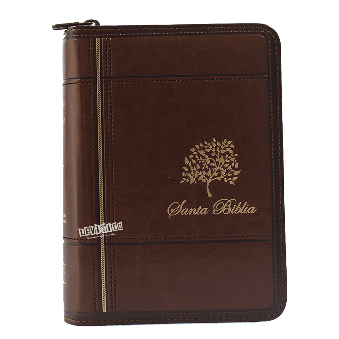 Santa Biblia RVR 1960 c/cierre Café/Borgona Borgona