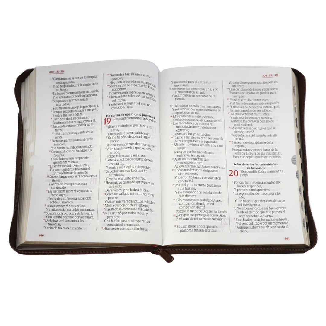 SANTA BIBLIA RVR 1960 LETRA GIGANTE CAFE C/CIERRE C/INDICE