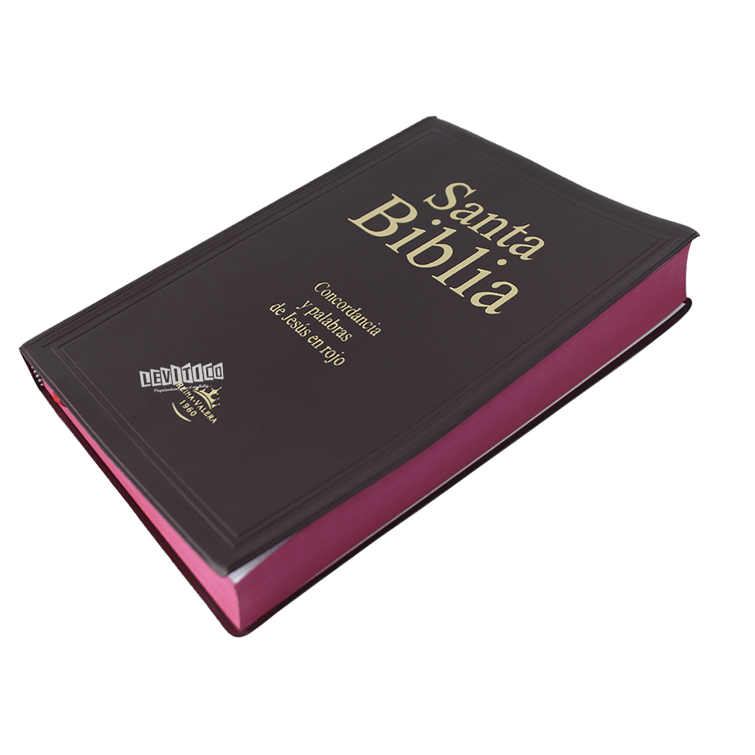 Santa Biblia RVR 1960 Letra Gigante Vinil Colores Vino