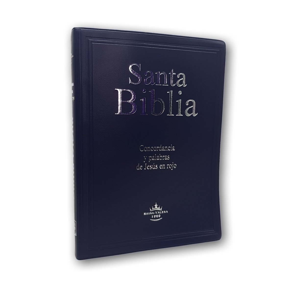 Santa Biblia RVR 1960 Letra Gigante Vinil Colores Azul