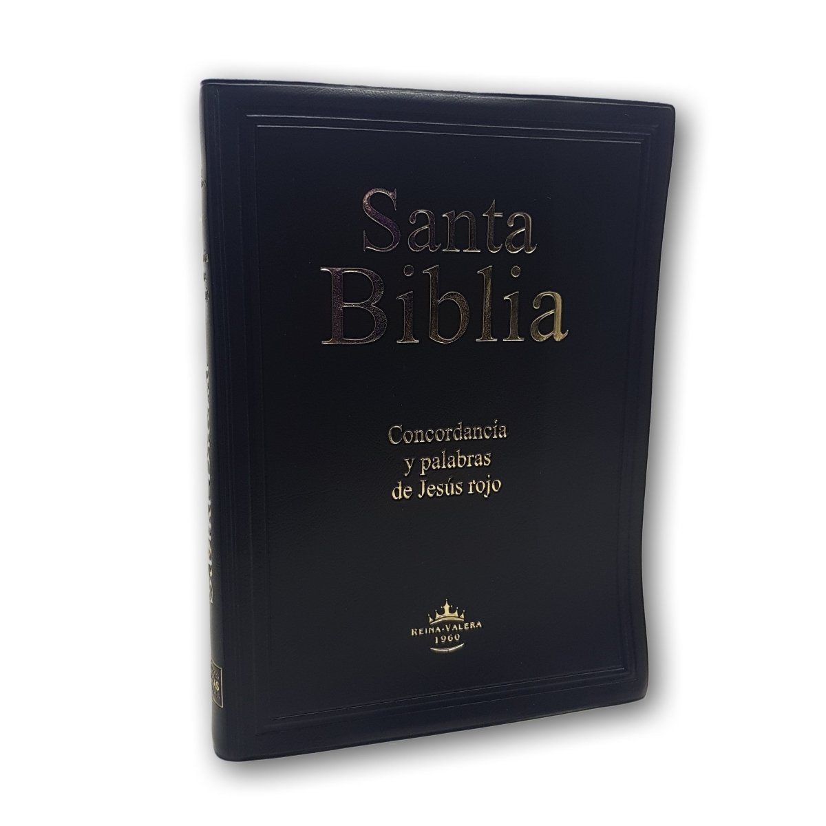 Santa Biblia RVR 1960 Letra Gigante Vinil Colores Negro