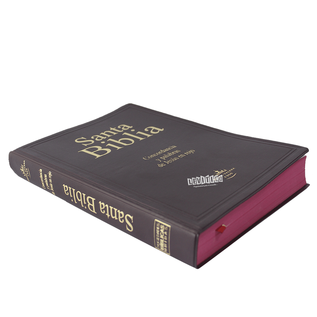 Santa Biblia RVR 1960 Letra Gigante Vinil Colores