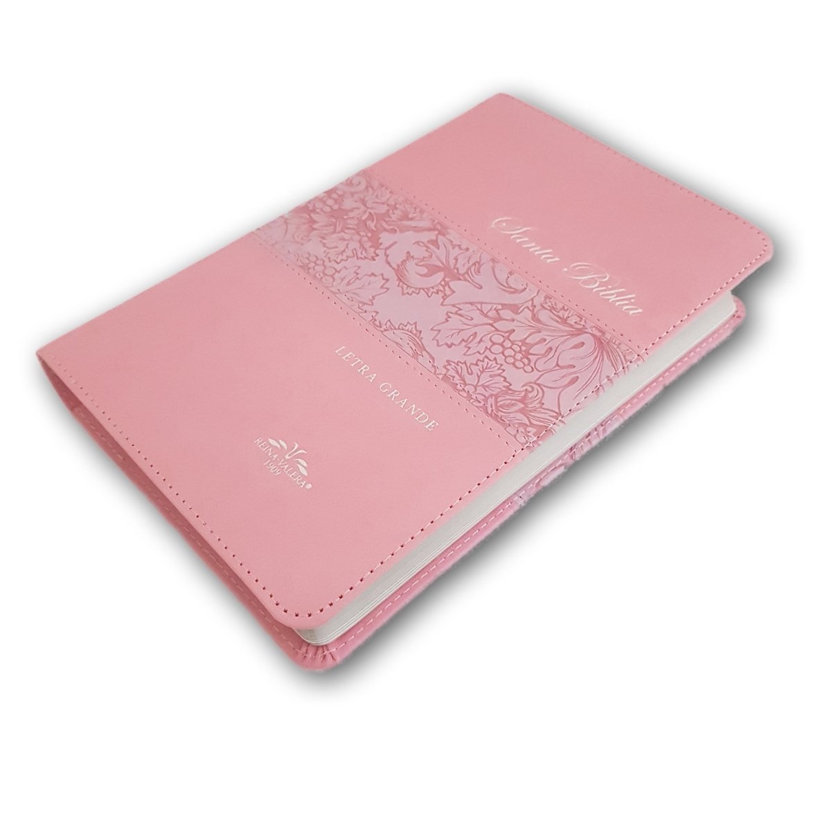 Santa Biblia RVR1909 Letra grande