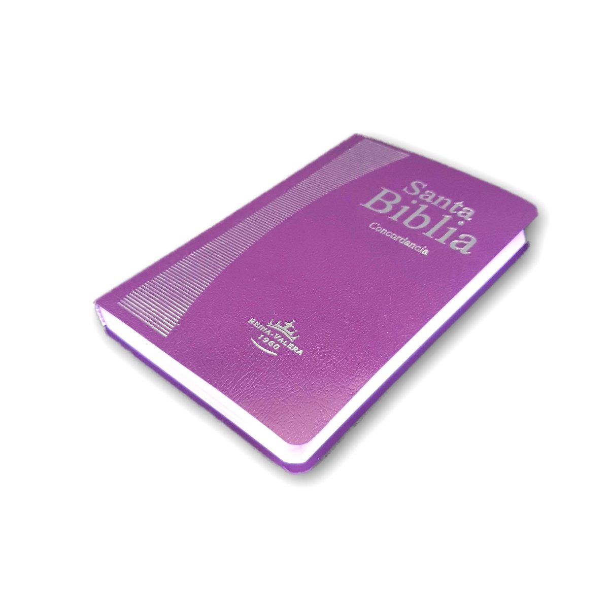 Santa Biblia RVR1960 c/Concordancia fina