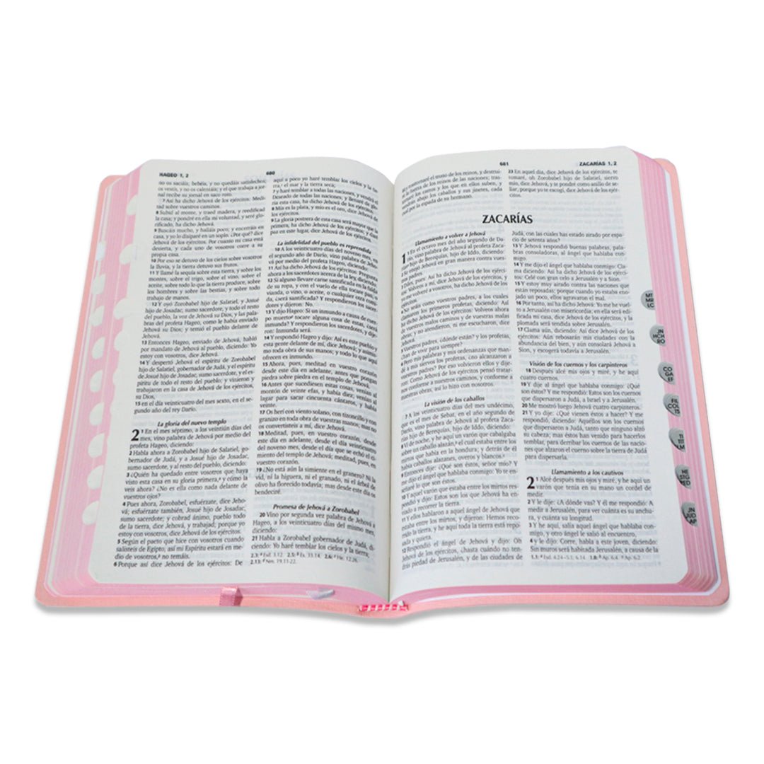 Santa Biblia RVR1960 Concordancia Diseño flores rosa