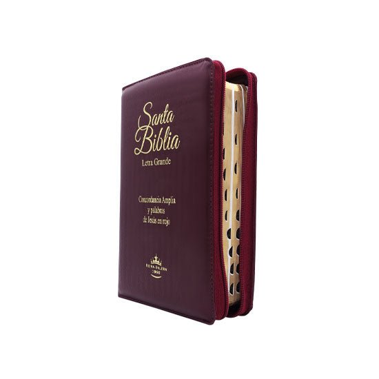 Santa Biblia Rvr1960 Letra Grande Imit Piel Concordancia Amplia