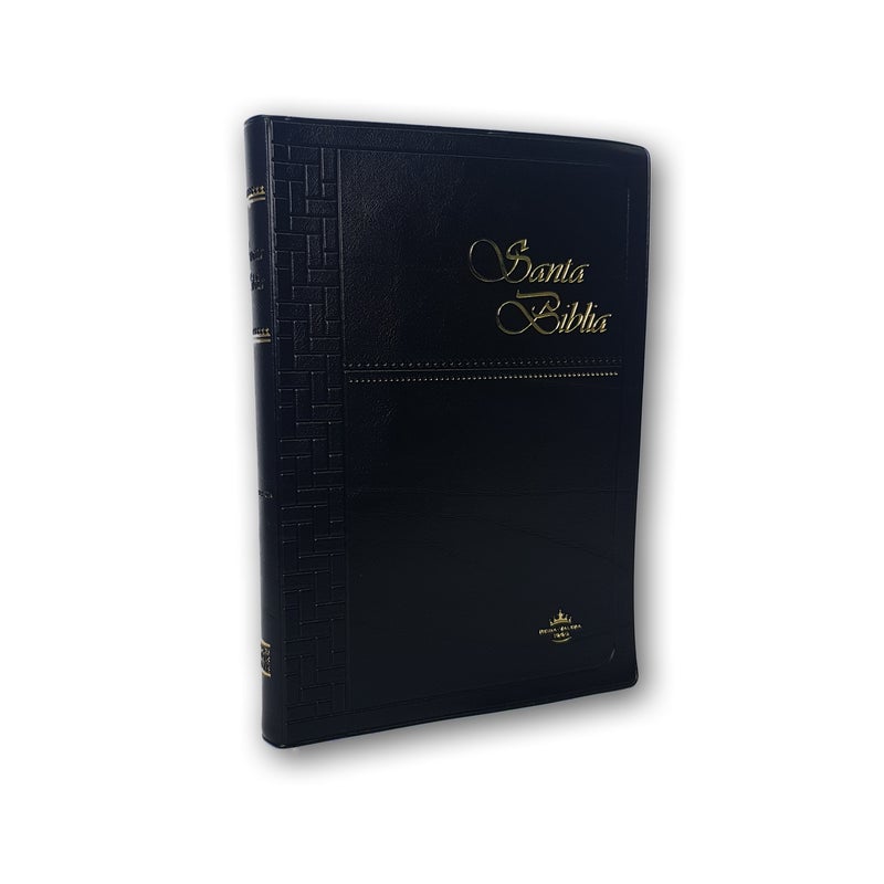 Santa Biblia RVR1960 Ultra fina Vinil Colores Negra