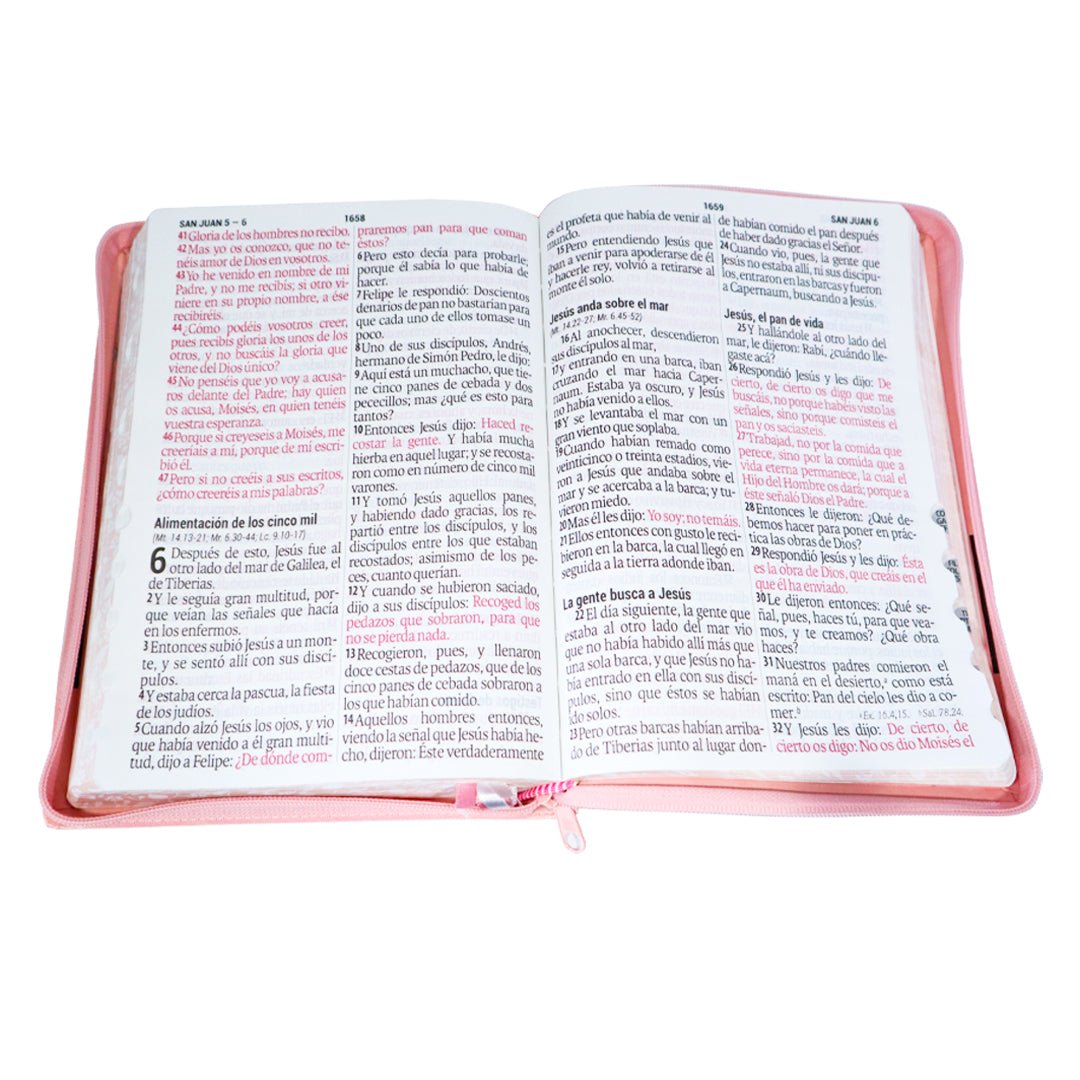 Santa Biblia RVR60 Letra Supergigante c/cierre