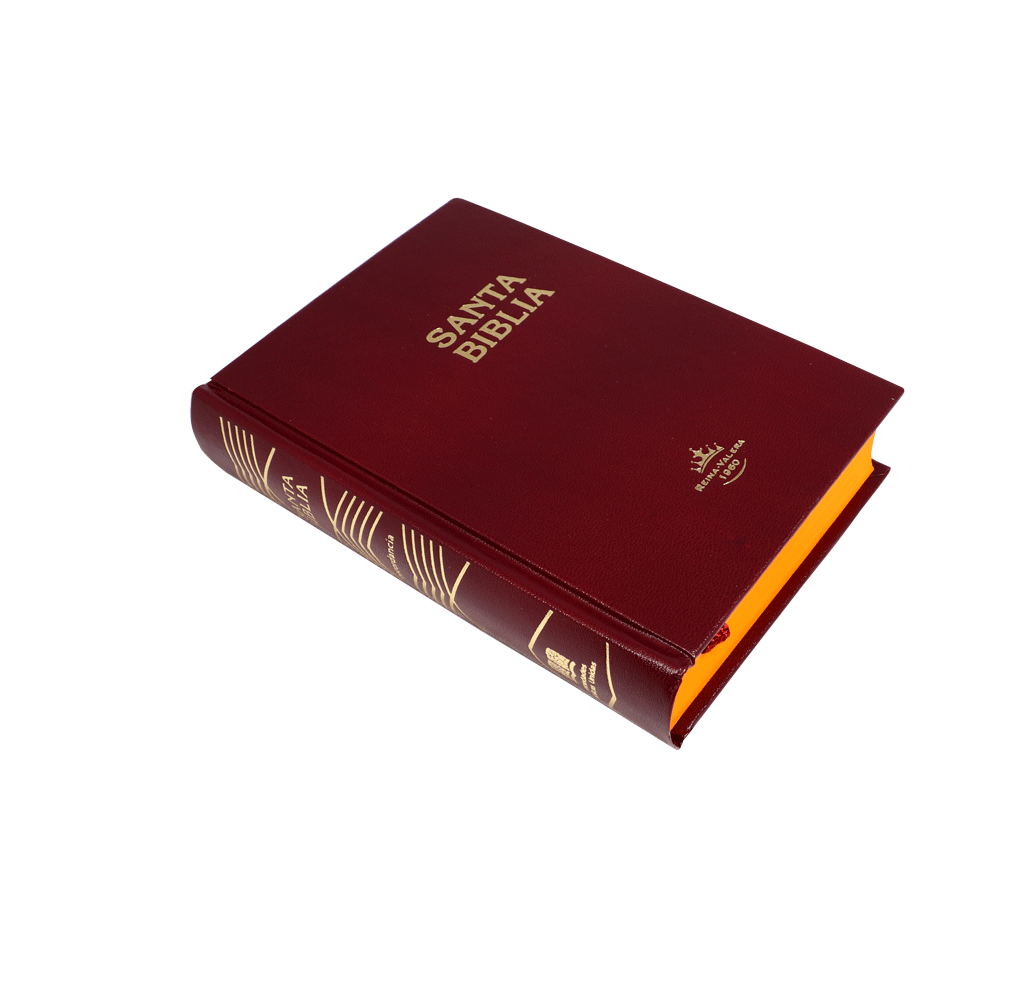 Santa Biblia RVR60 Tapa dura compacta