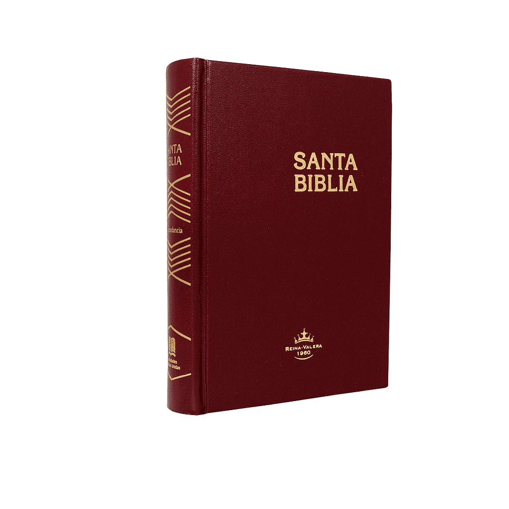Santa Biblia RVR60 Tapa dura compacta Vino