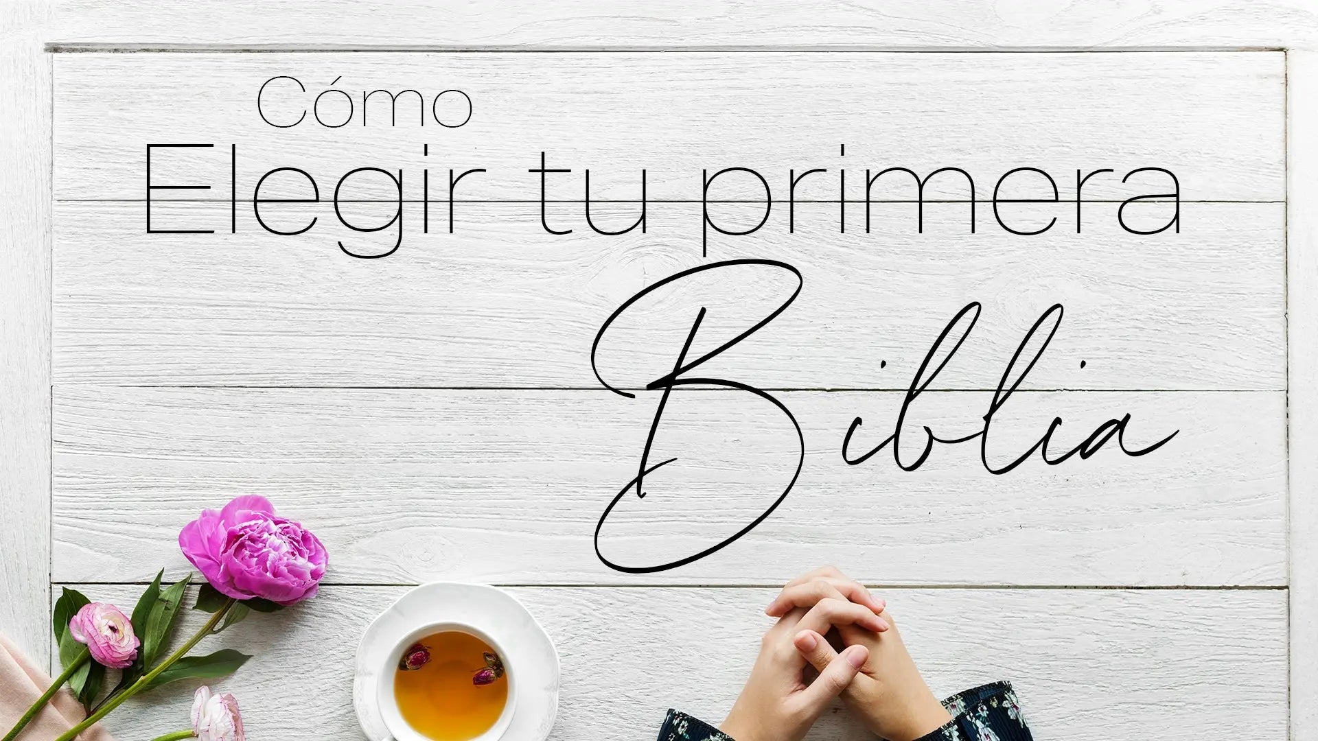 Cómo elegir tu primera biblia: Una guía completa