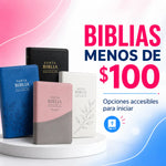 BIBLIAS-MENOS-DE-100 Levítico