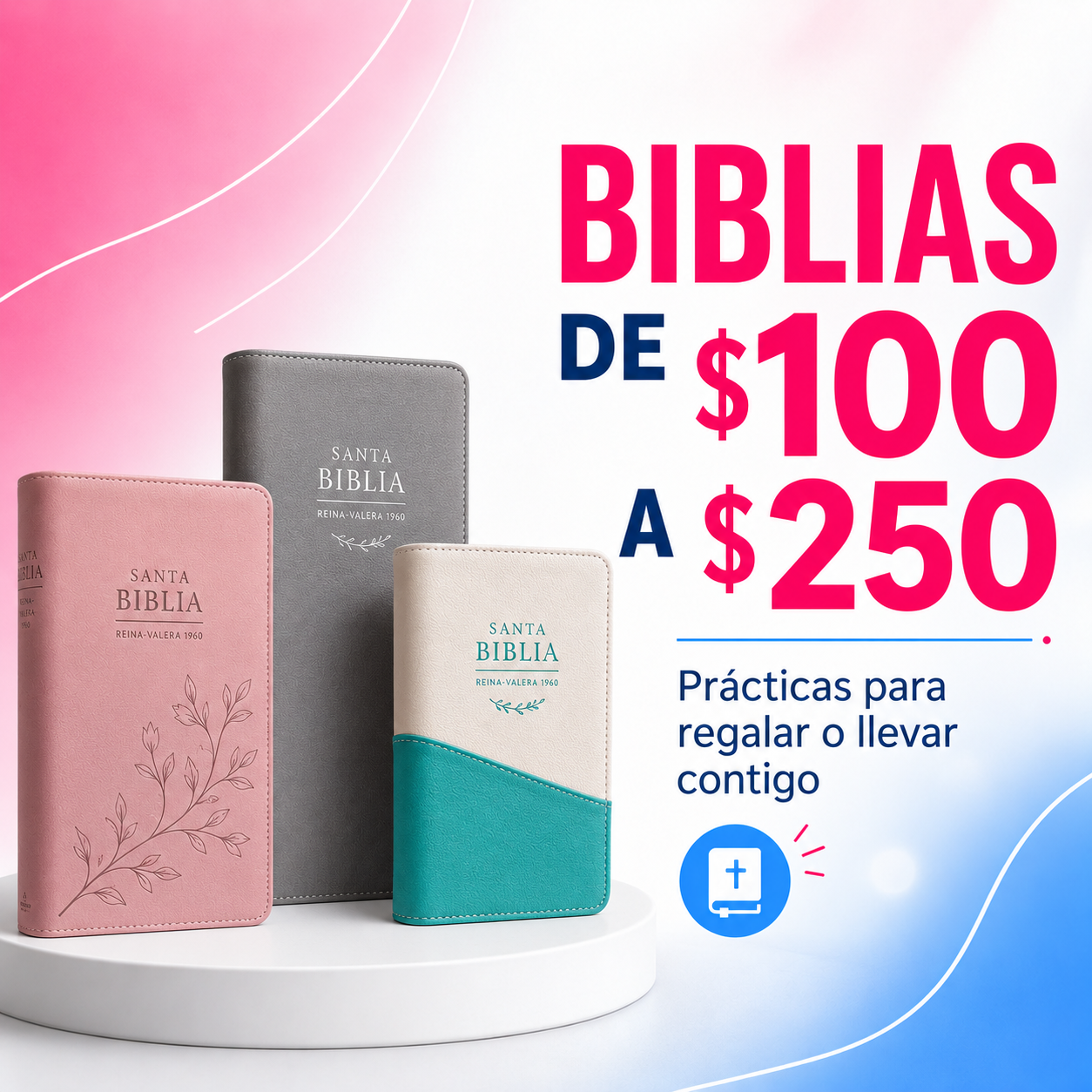 BIBLIAS DE $100 A $250