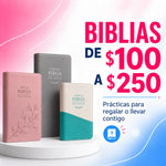 BIBLIAS DE $100 A $250