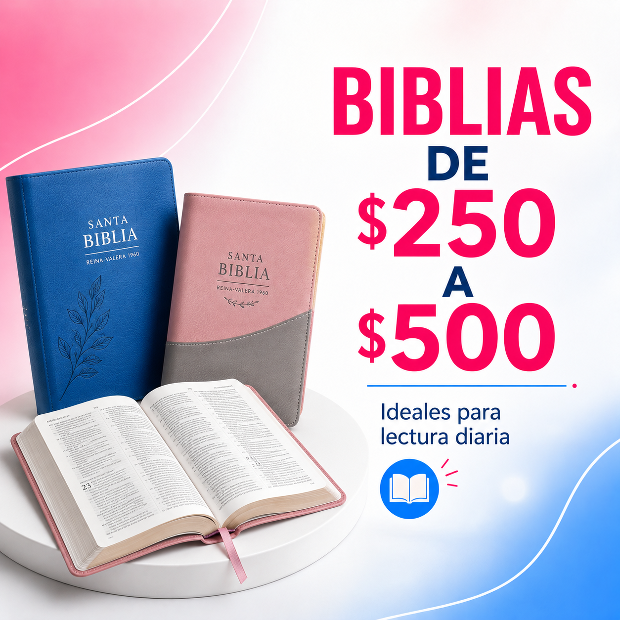 BIBLIAS DE $250 A $500