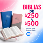 BIBLIAS DE $250 A $500