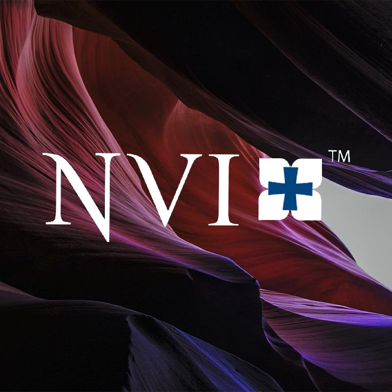 Nueva Versión Internacional (NVI)