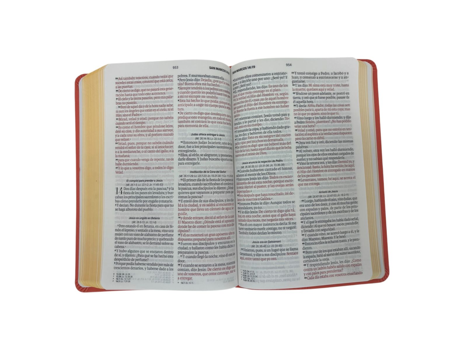 BIBLIA REINA VALERA 1960 LETRA GRANDE MANUAL IMIT PIEL CORAL