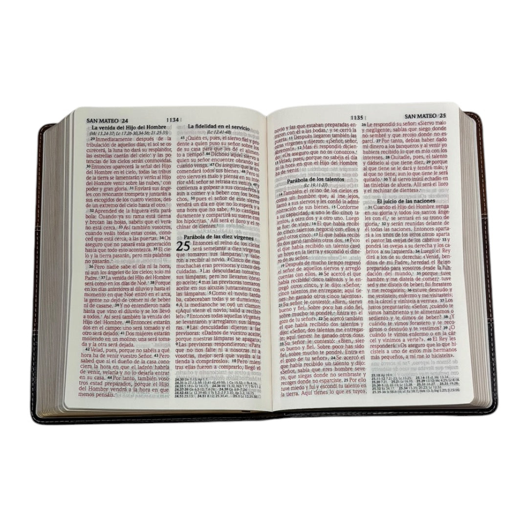 SANTA BIBLIA REINA VALERA 2020 (4 colores)