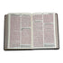 SANTA BIBLIA REINA VALERA 2020 (4 colores)