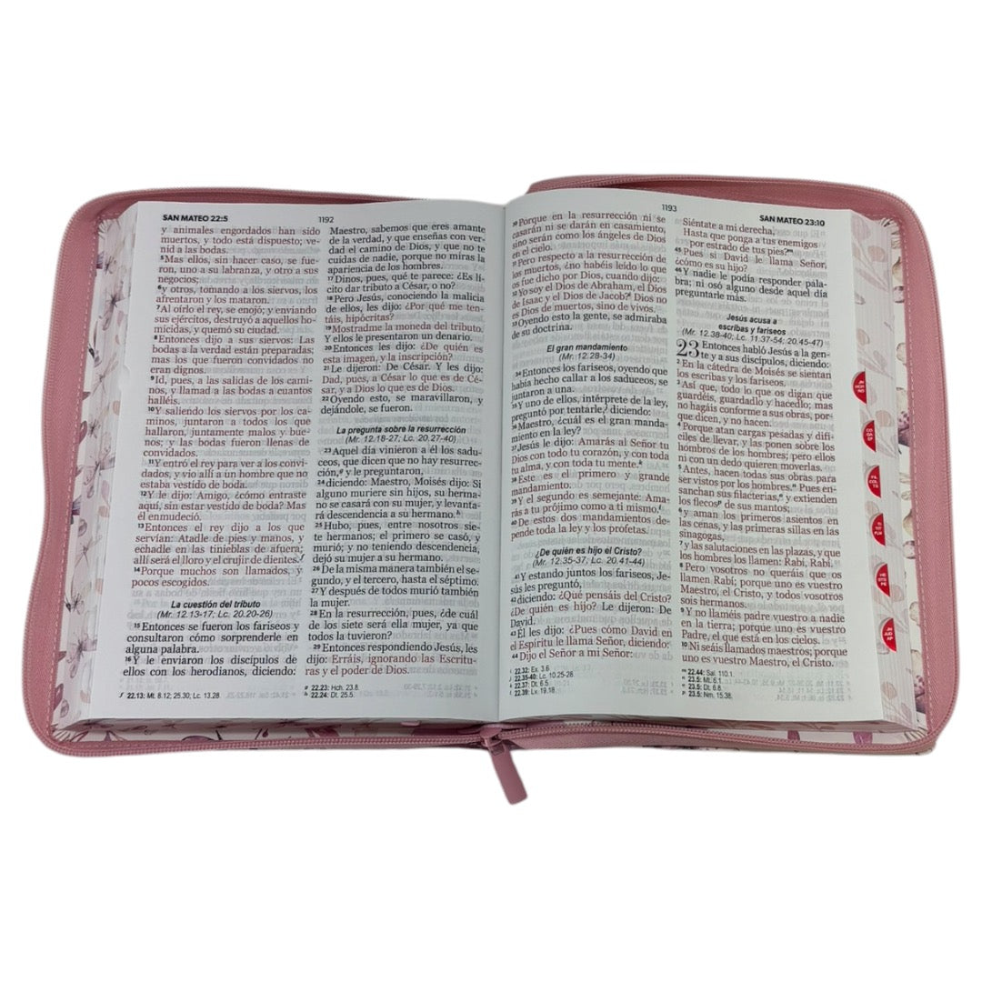 BIBLIA RVR 1960 GIGANTE DISEÑO MARIPOSA TURQUESA/ROSA IMIT PIEL