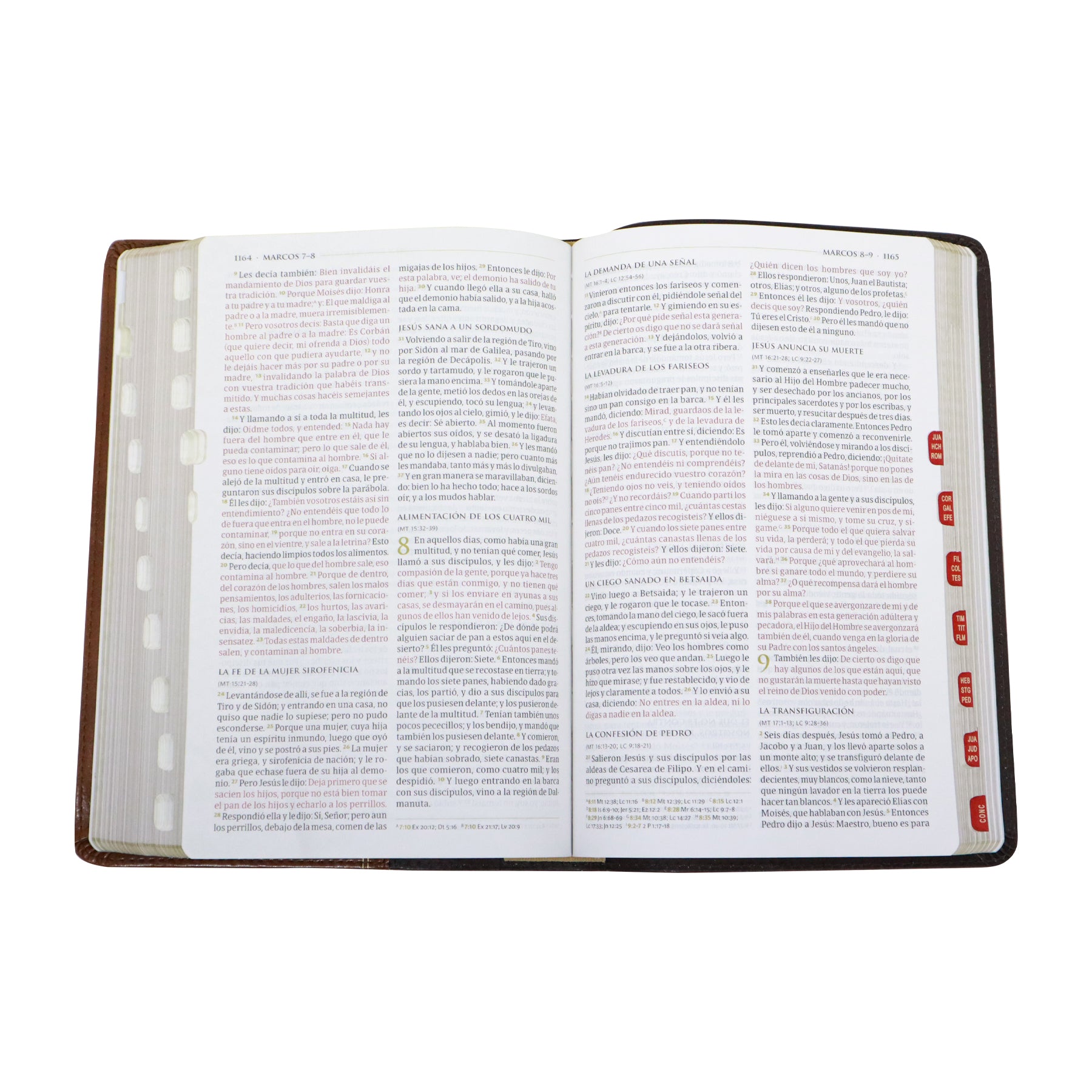 Reina Valera 1960 Biblia temática de estudio, marrón oscuro/marrón piel fabricada con índice
