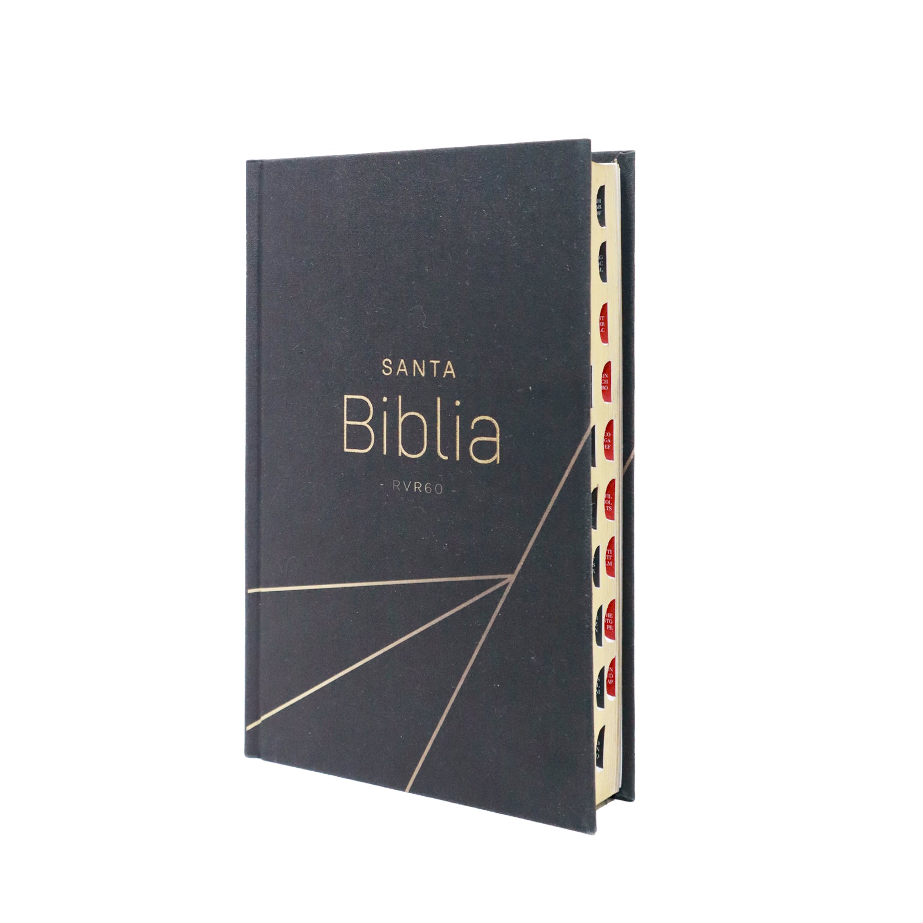BIBLIA REINA VALERA 1960 LETRA GRANDE TAPA DURA NEGRO C/INDICE