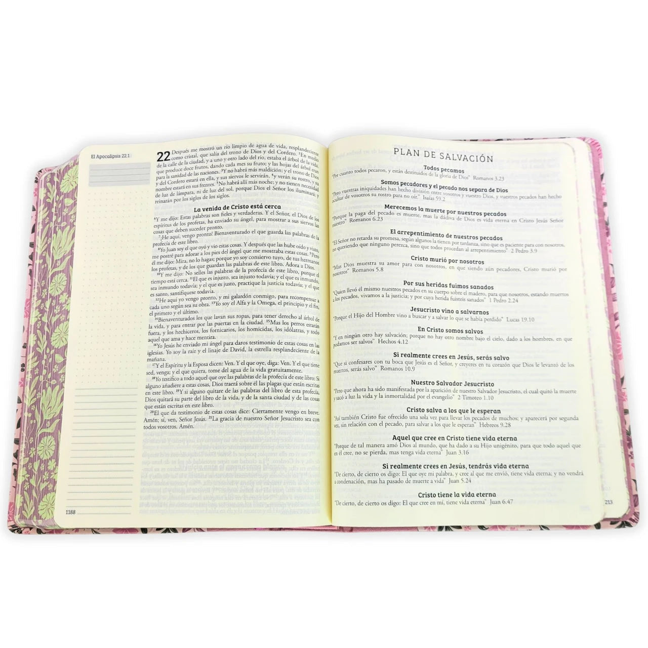 Biblia de Apuntes con Margen Amplio RV1960, tapa dura rosada floral con canto floral LIBRERIA LEVITICO