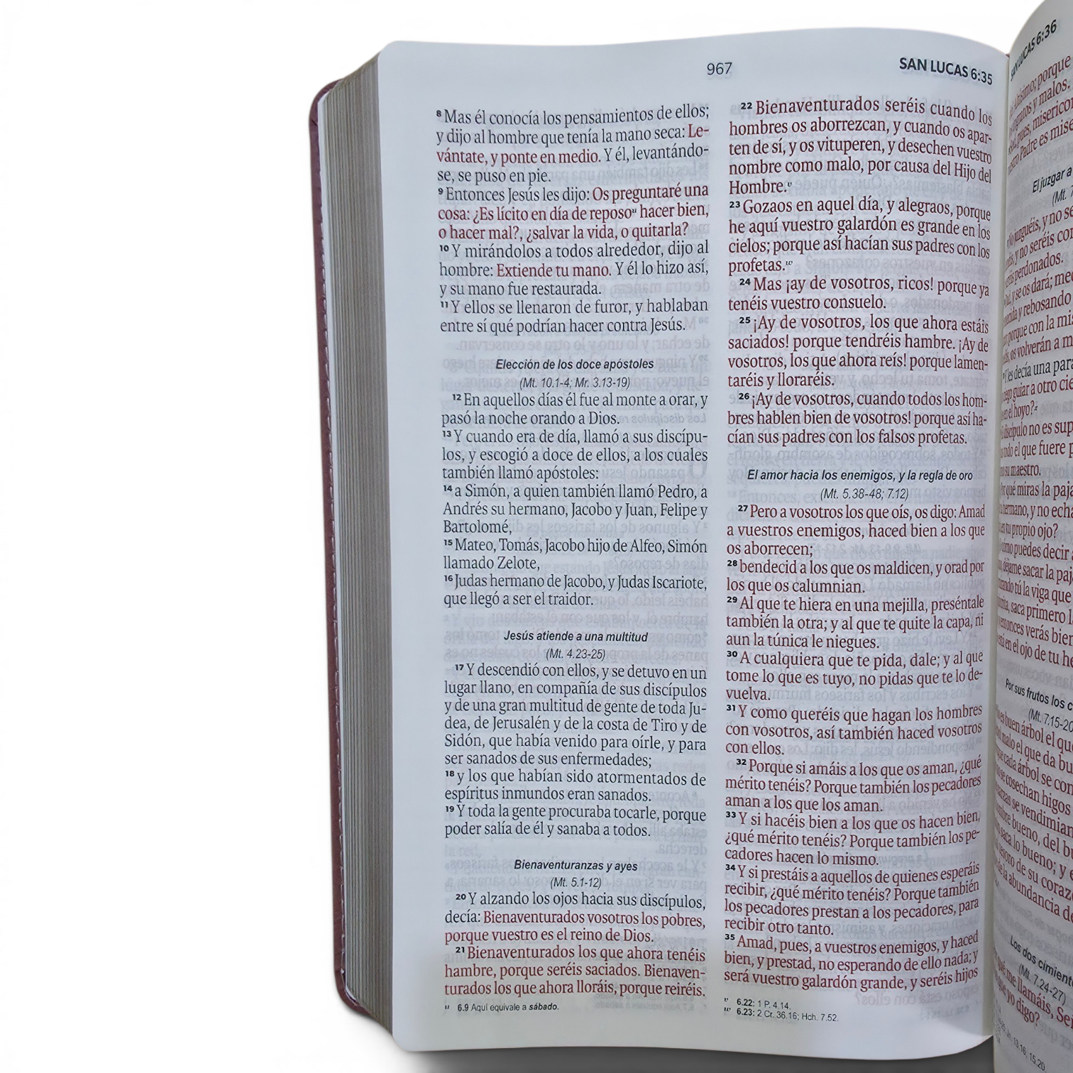 Biblia Reina Valera 1960 Letra grande con Solapa Levítico