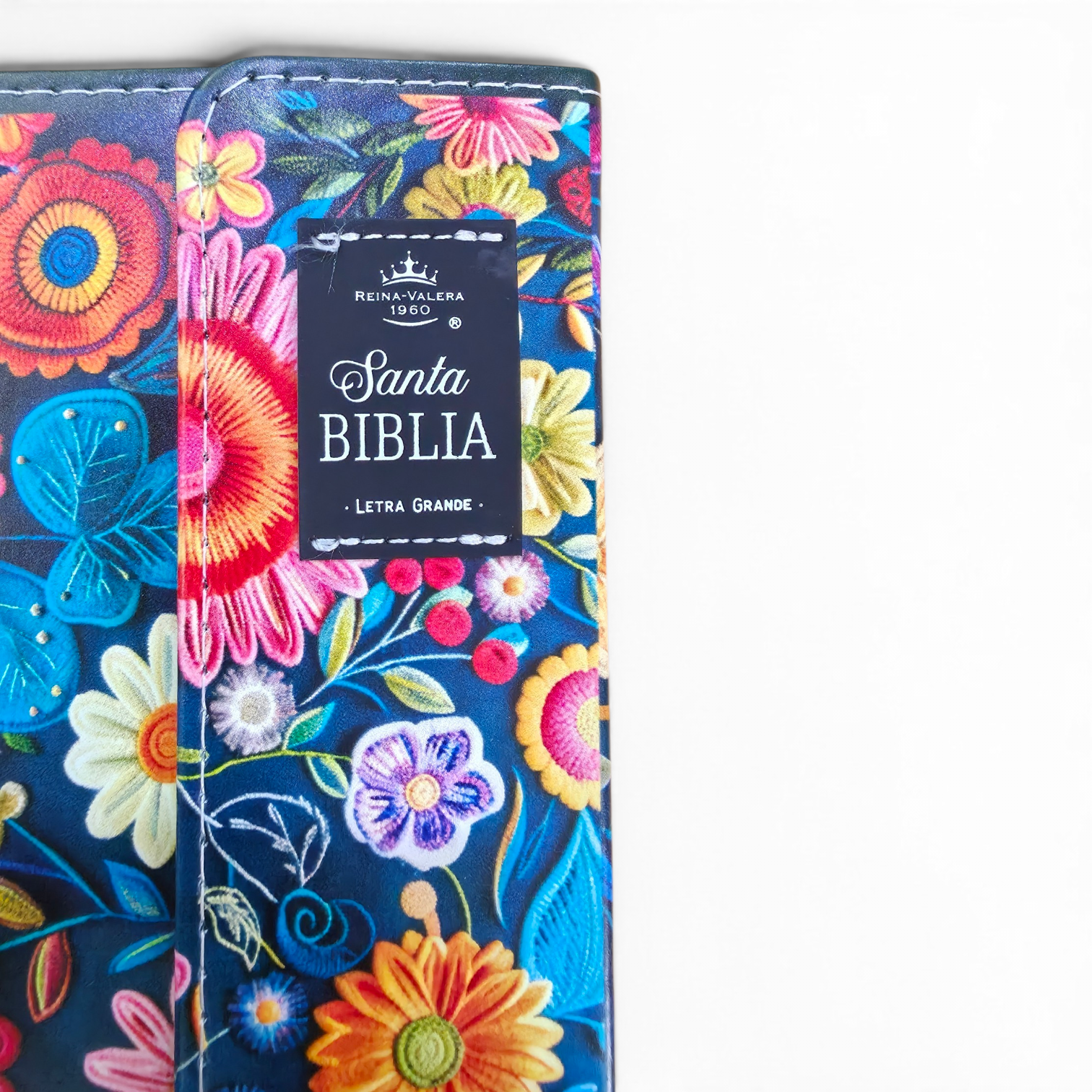 Biblia Reina Valera 1960 Letra grande con Solapa Levítico