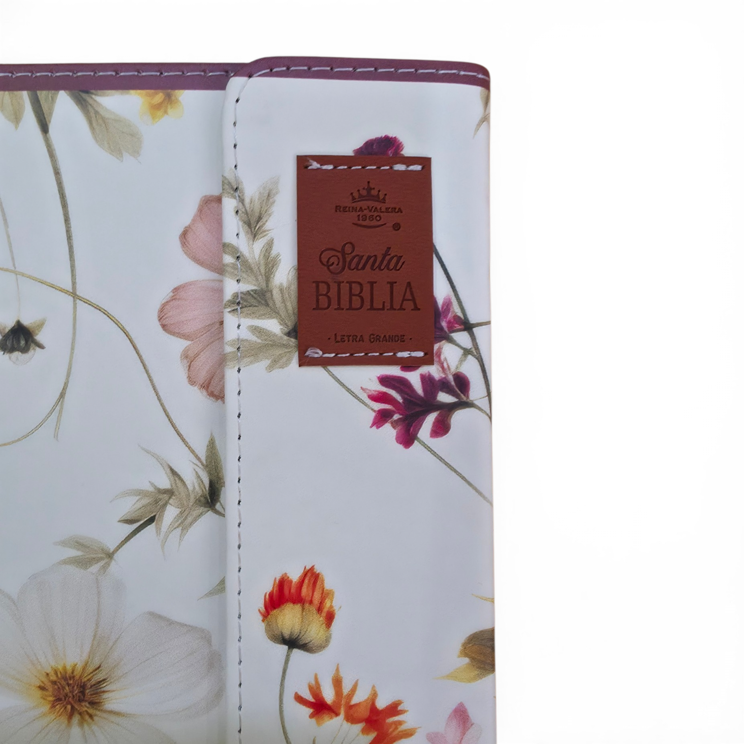 Biblia Reina Valera 1960 Letra grande con Solapa Levítico